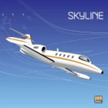 Skyline by Various Artists - album cover