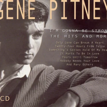 I'm Gonna Be Strong: The Hits and More