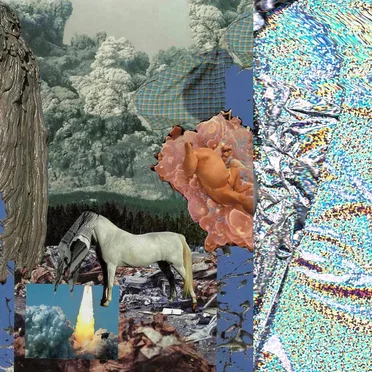 Pisces Sun, Capricorn Rising