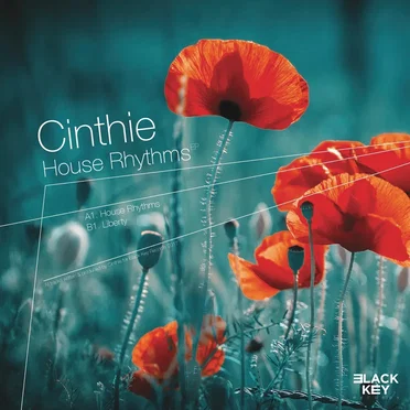 House Rhythms / Liberty