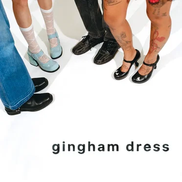Gingham dress by cootie catcher - album cover