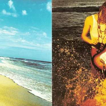 The Endless Summer II