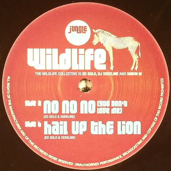 No No No (You Don't Love Me) / Hail Up The Lion