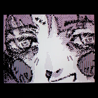 cyberia
