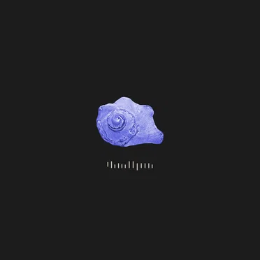 평행선