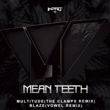 Remixes