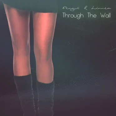 Through the Wall by Pengus - album cover