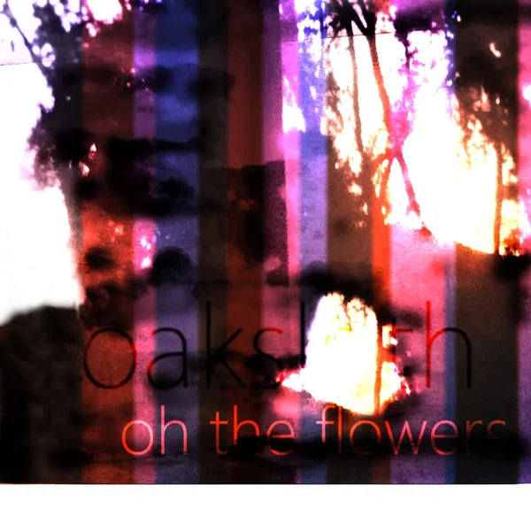 oh the flowers