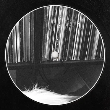 Time To Gruuve (Midnite mix)