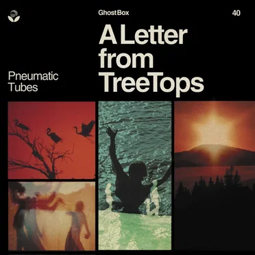 A Letter from TreeTops by Pneumatic Tubes - album cover