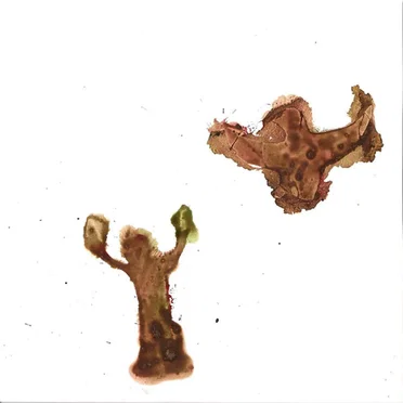 The Wind and the Dove