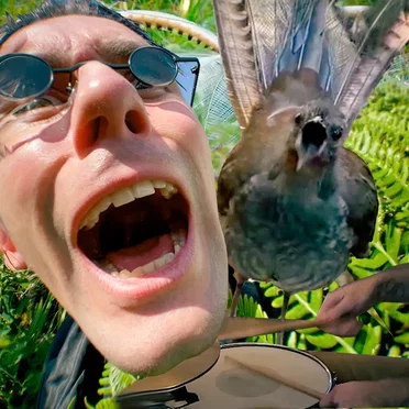 Fly like a bird & be rich