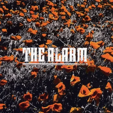 In the Poppy Fields