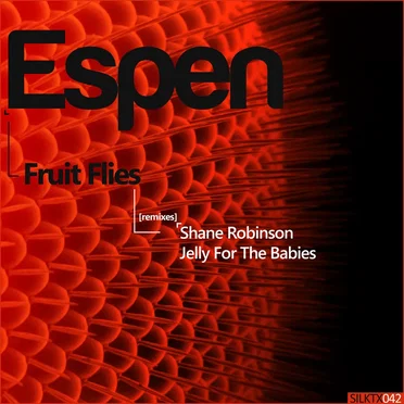Fruit Flies by Espen - album cover