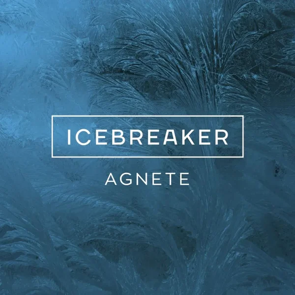 Icebreaker