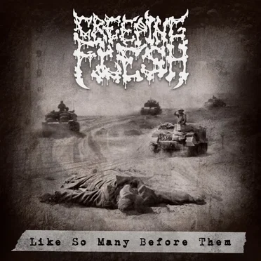 Like So Many Before Them by Creeping Flesh - album cover