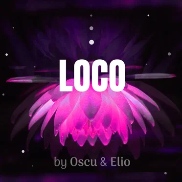 Loco (remix)