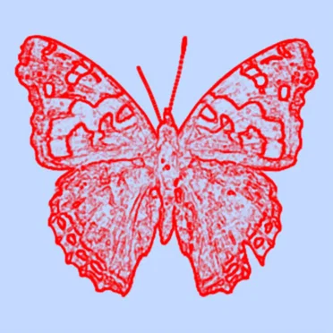 Red Admiral LP