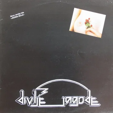 Divlje jagode by Divlje jagode - album cover