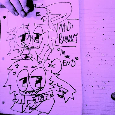 in the end by MIDI Bunny - album cover
