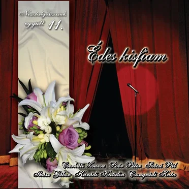 Nosztalgiázzunk együtt 11. - Édes kisfiam by Various Artists - album cover