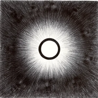 Seed