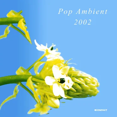 Pop Ambient 2002 by Various Artists - album cover