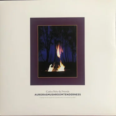 Aurorasmushroomtenderness
