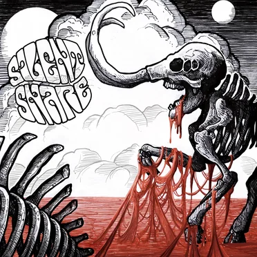 Silent Snare by Silent Snare - album cover