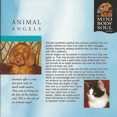 Animal Angels