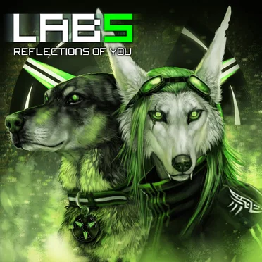 Laboratory 5