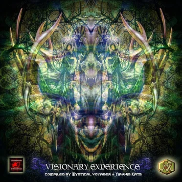 Visionary Experience by Various Artists - album cover