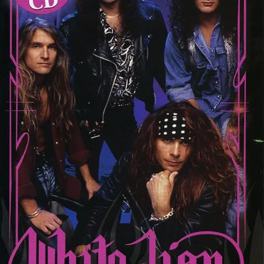 Concert Anthology 1987–1991