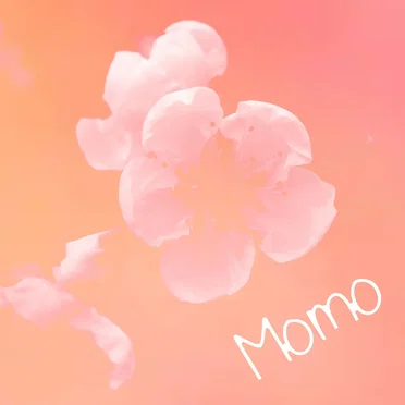 Momo