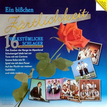 Ein bißchen Zärtlichkeit: 16 volkstümliche Schlager by Various Artists - album cover