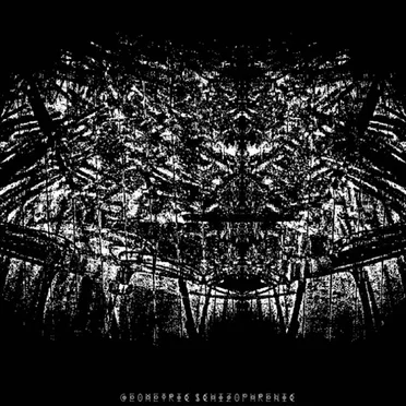 Geometric Schizophrenic
