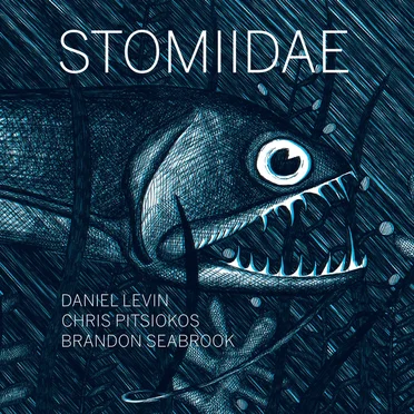 Stomiidae