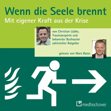Wenn die Seele brennt: Mit eigener Kraft aus der Krise by Christian Lüdke - album cover