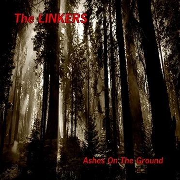 Ashes on the Ground