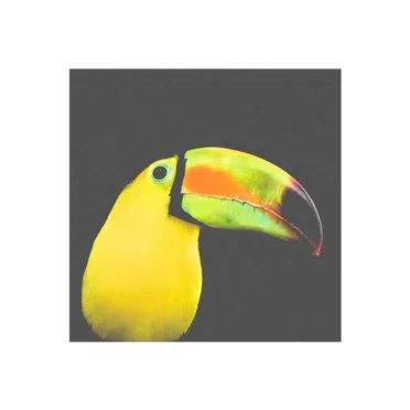 Belize