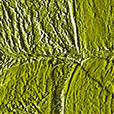 アルファベットが、消えてしまいますように