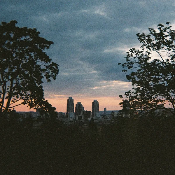 They Fall, but You Don’t