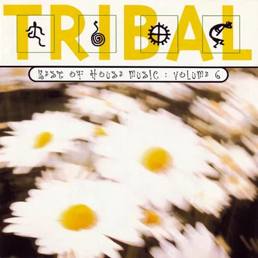 Tribal: Best of House Music, Volume 6 by Various Artists - album cover