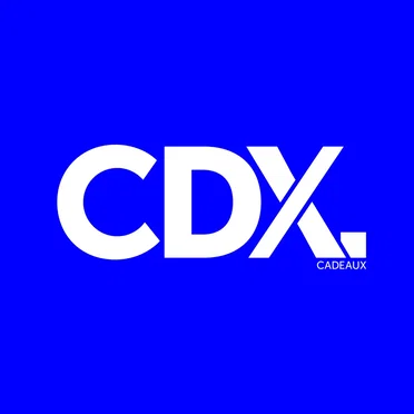 A Blue Screen Of Death by CDX - album cover