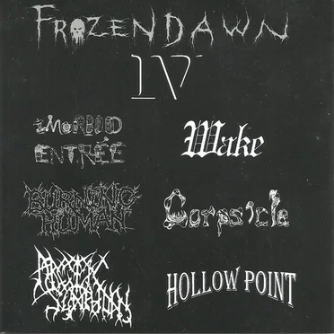 Frozen Dawn IV by Various Artists - album cover