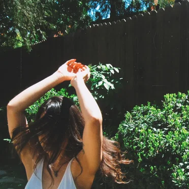 moved along by wilt - album cover