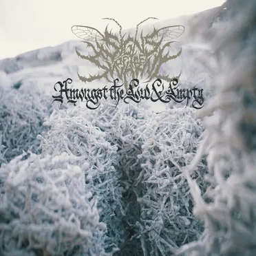 Amongst the Low & Empty by Signs of the Swarm - album cover