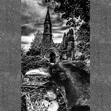 M.A.S.O.N.N.A. / Controlled Death