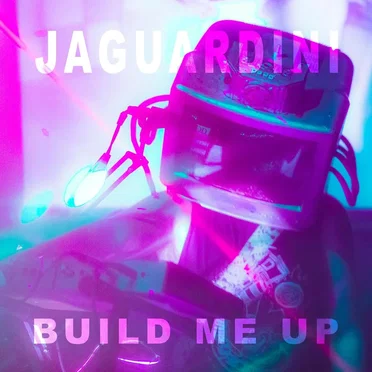 Build Me Up by Jaguardini - album cover