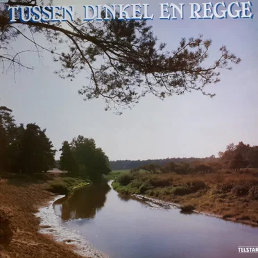 Tussen Dinkel en Regge by Various Artists - album cover
